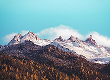 半岛体育在线：从屏幕到心跳的球赛之旅